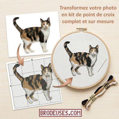 EXCLUSIF - Votre photo transformée en kit de point de croix !