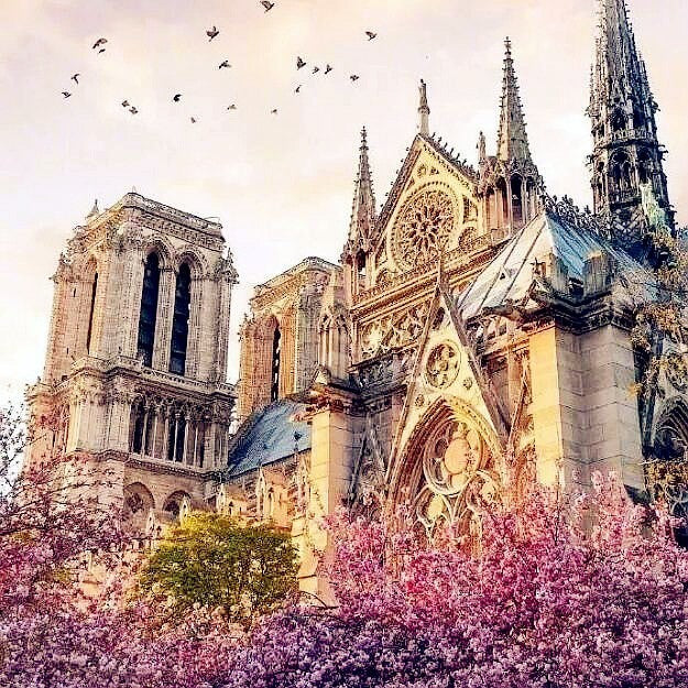 For Notre-Dame de Paris! - Diamond embroidery kit