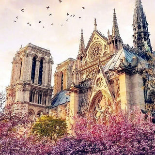 For Notre-Dame de Paris! - Diamond embroidery kit