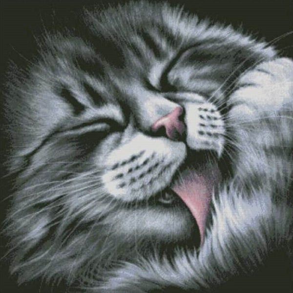 Chat faisant sa toilette - Kit de broderie au point de croix - Brodeuses.com