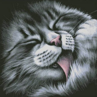 Chat faisant sa toilette - Kit de broderie au point de croix - Brodeuses.com