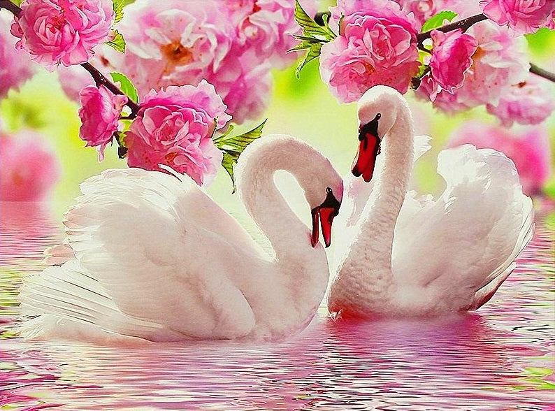 Le lac des cygnes amoureux - Kit de diamond painting - 30x25 à 65x50 cm Brodeuse.com