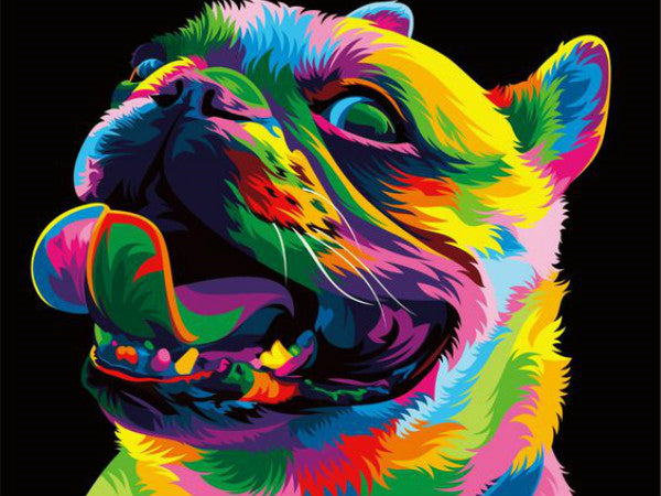 Kit d’animal multicolore style Pop-Art - diamond painting rond ou carré - Bouledogue français de profil - Kit de broderie diamants - Bulldog Dog