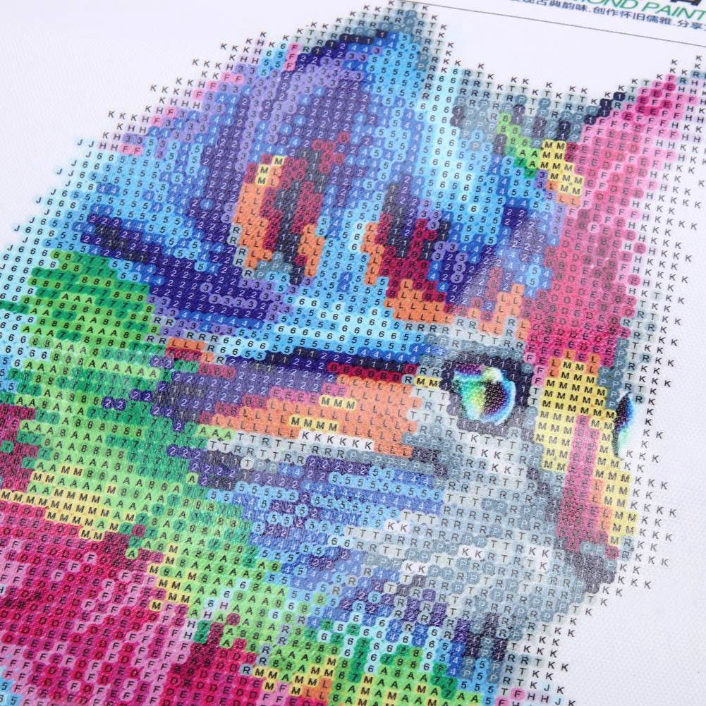 Chaton arc-en-ciel - 30x30  50x50 cm - Kit broderie diamant Kit de broderie mosaque 30 x 30 cm Brodeuses.com